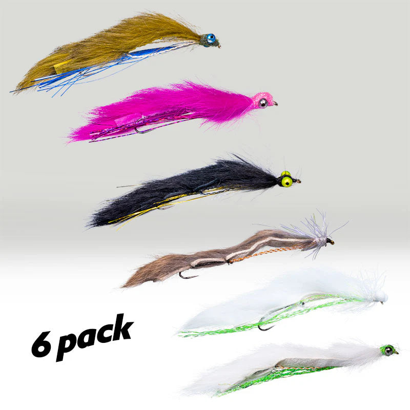 Boxed 6 Snake Flies (Barbless)